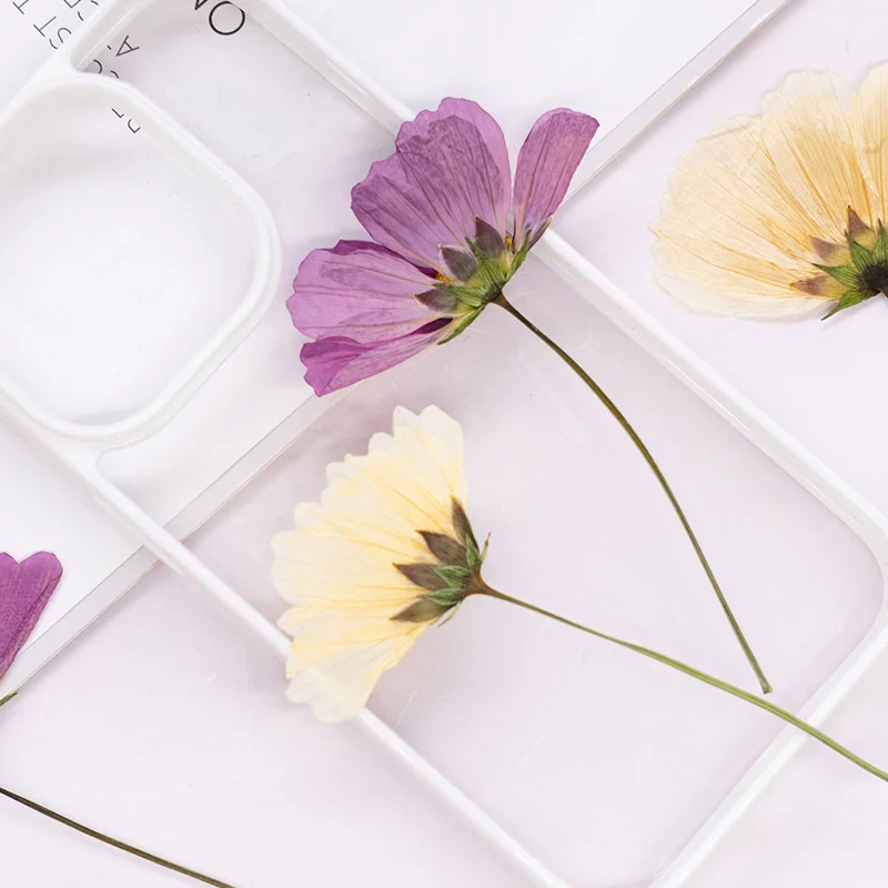 

48Pcs Dried Flower Materials DIY Real Flower Plant Specimens Dried Flower Pressed Flower Bookmarks Face Decoration Gesang Flower Side Pressed Flower Bookmark Tags