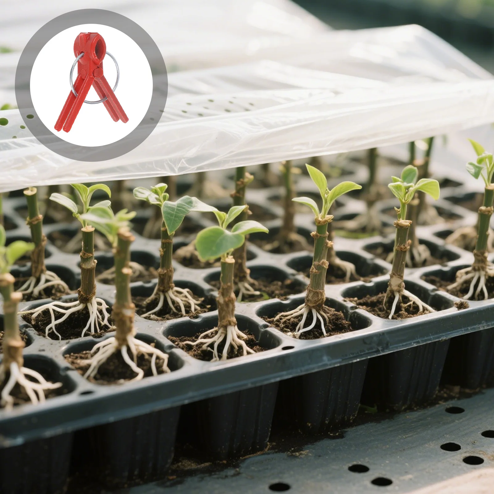 

3pcs Vegetable Reusable Plastic Garden Tool For Fruit Veggie Grafting Round Mouth Fixed Clips Garden Grafting Clips