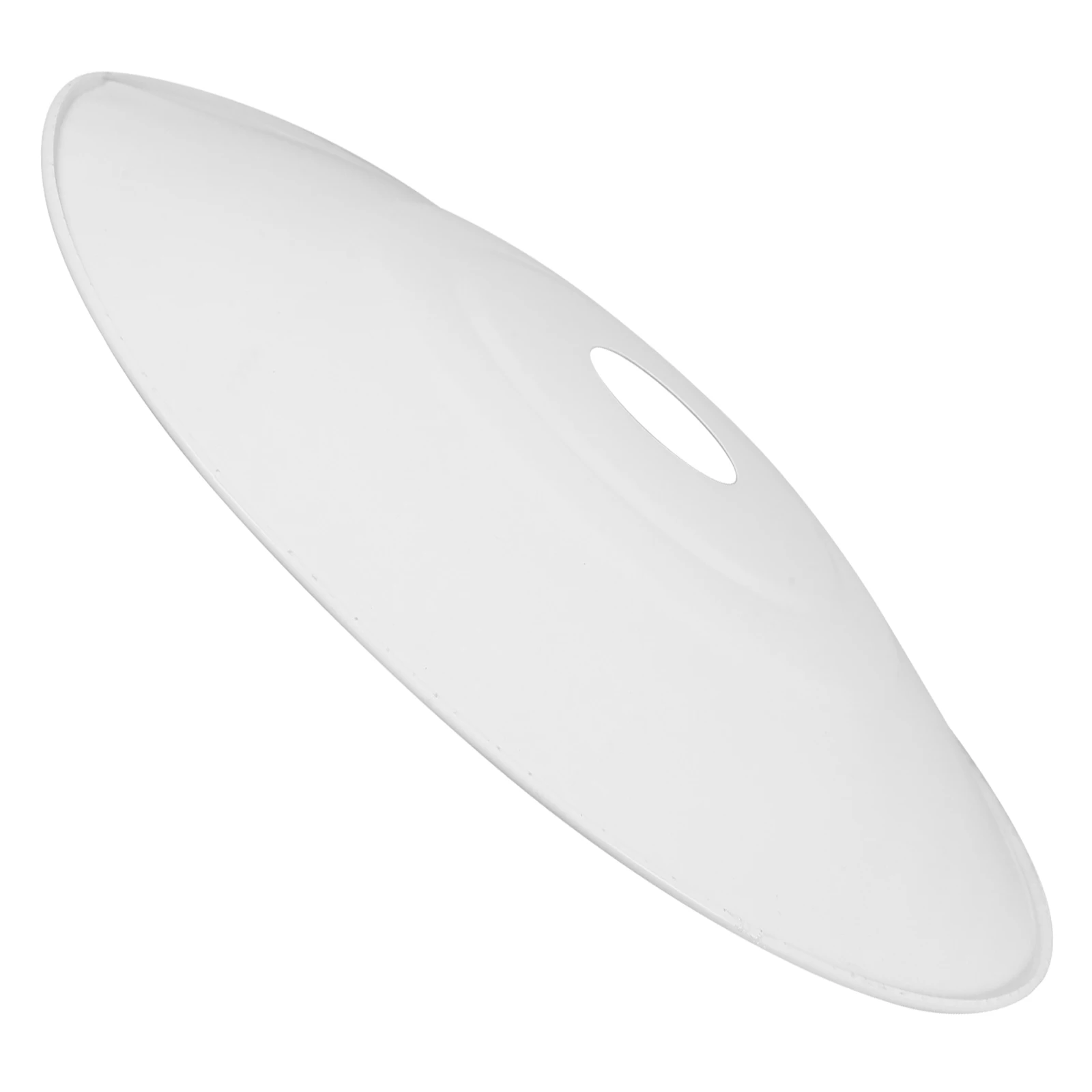 

Insulated Lampshade Durable Metal Heat Dissipation Smooth Surface Baked Paint Easy Installation Piglet Reptile Anti Scald Cover