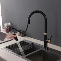 Luxury Brass Black Gold Kitchen sink faucet Modern Design 1 Hole 1 Handle Pull Out hot cold water mixer Kitchen Tap Top Quality