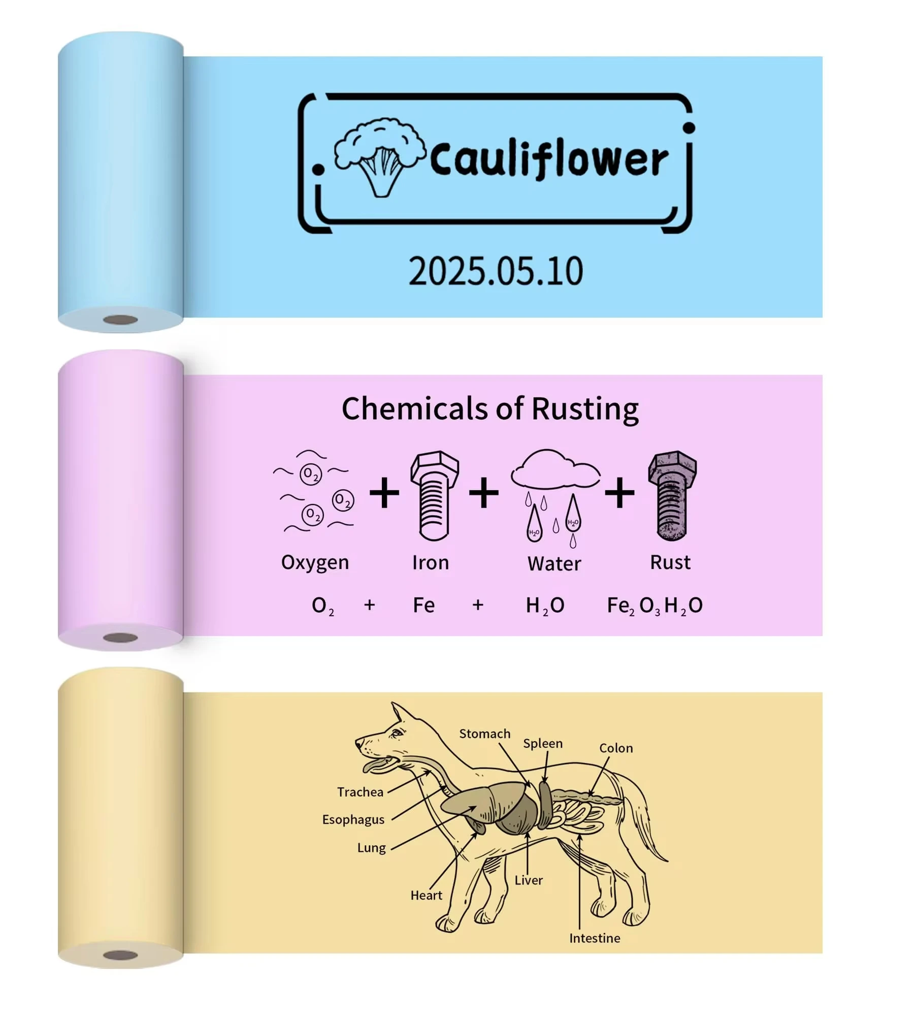 3 Roll Mini Sticker Printer Papier 57X30Mm Thermische Printer Papierrol Niet-Klevende Draagbare Zakprinter Geel/Blauw/Roze