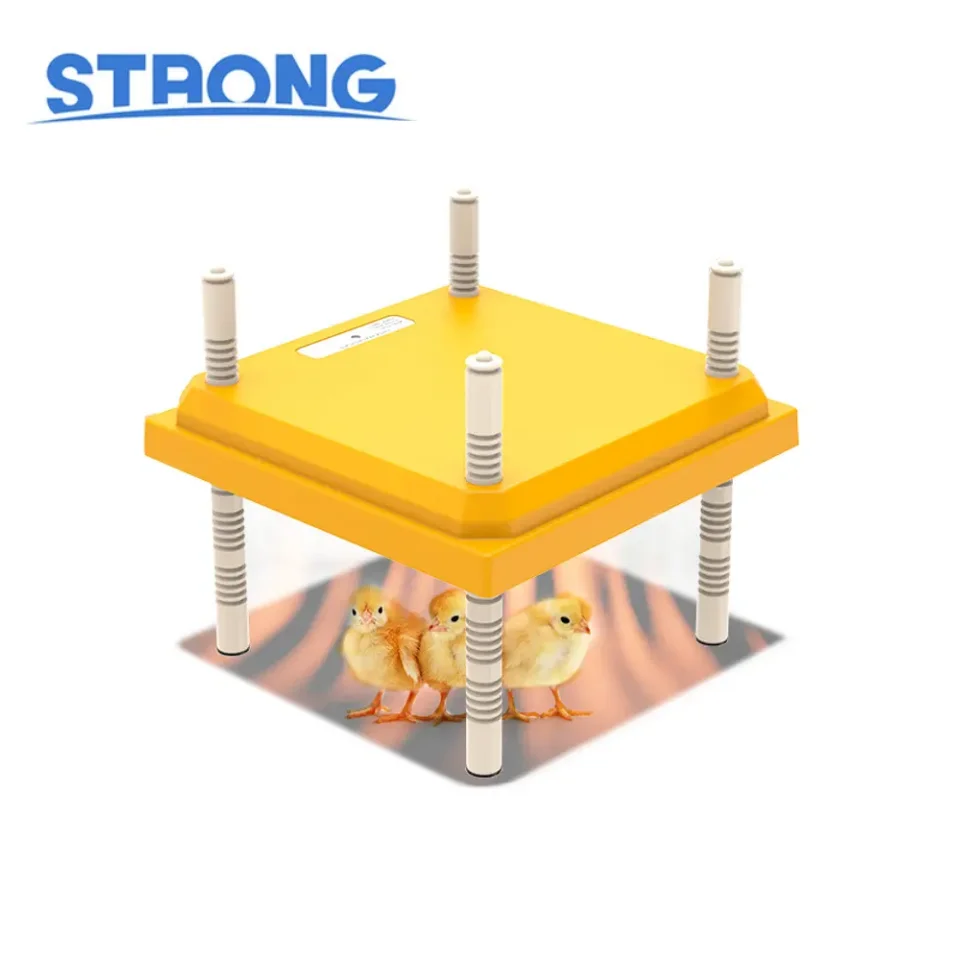 

Custom Poultry Farm Baby Bird Chicken Electric Infrared Heater 220V Chicks House Heating Equipment Thermo Poultry Brooders