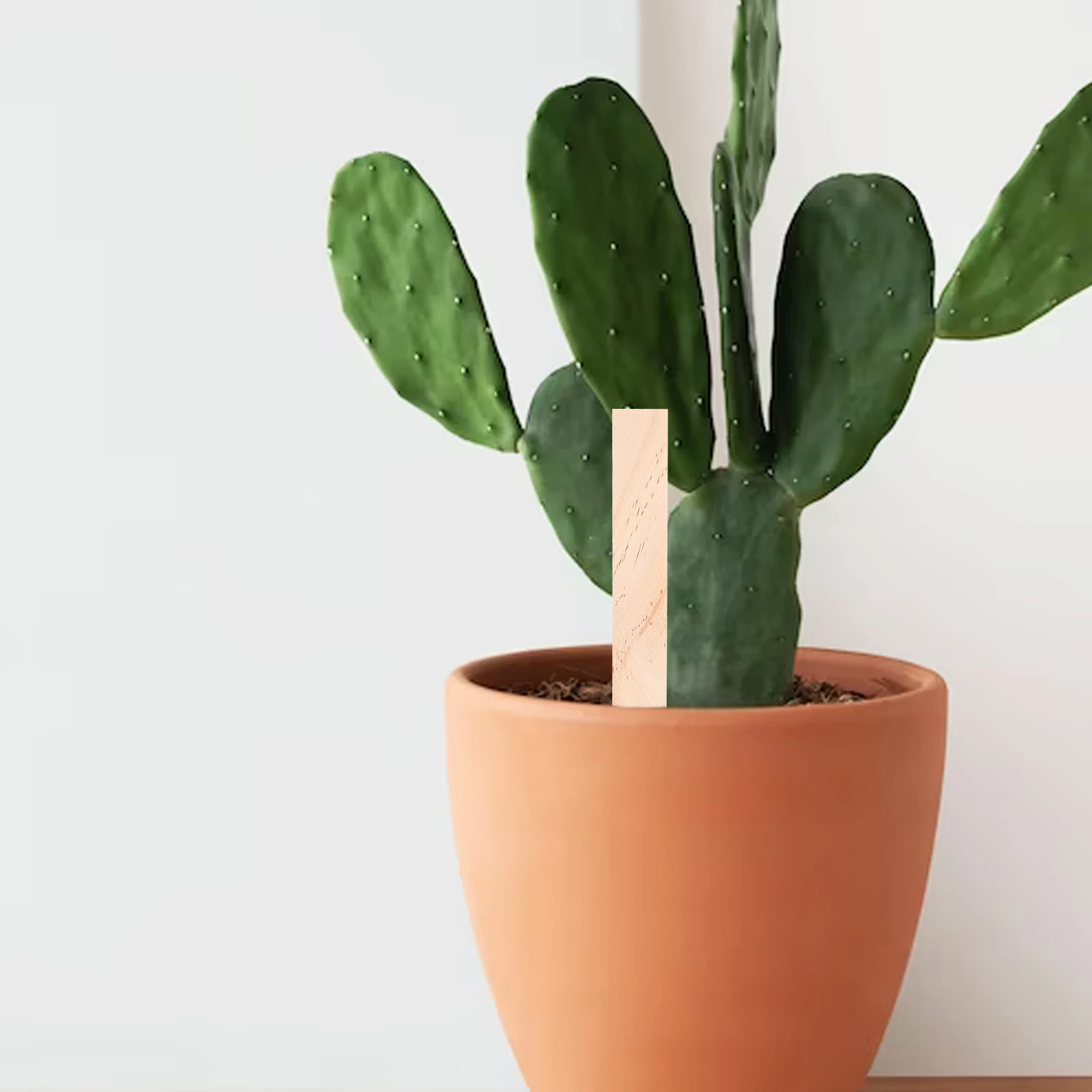 

20Pcs Garden Plant Identify Board Blank Labels Plant Name Tags Insert Stakes for Flower Beds Pots Planters Garden Supplies