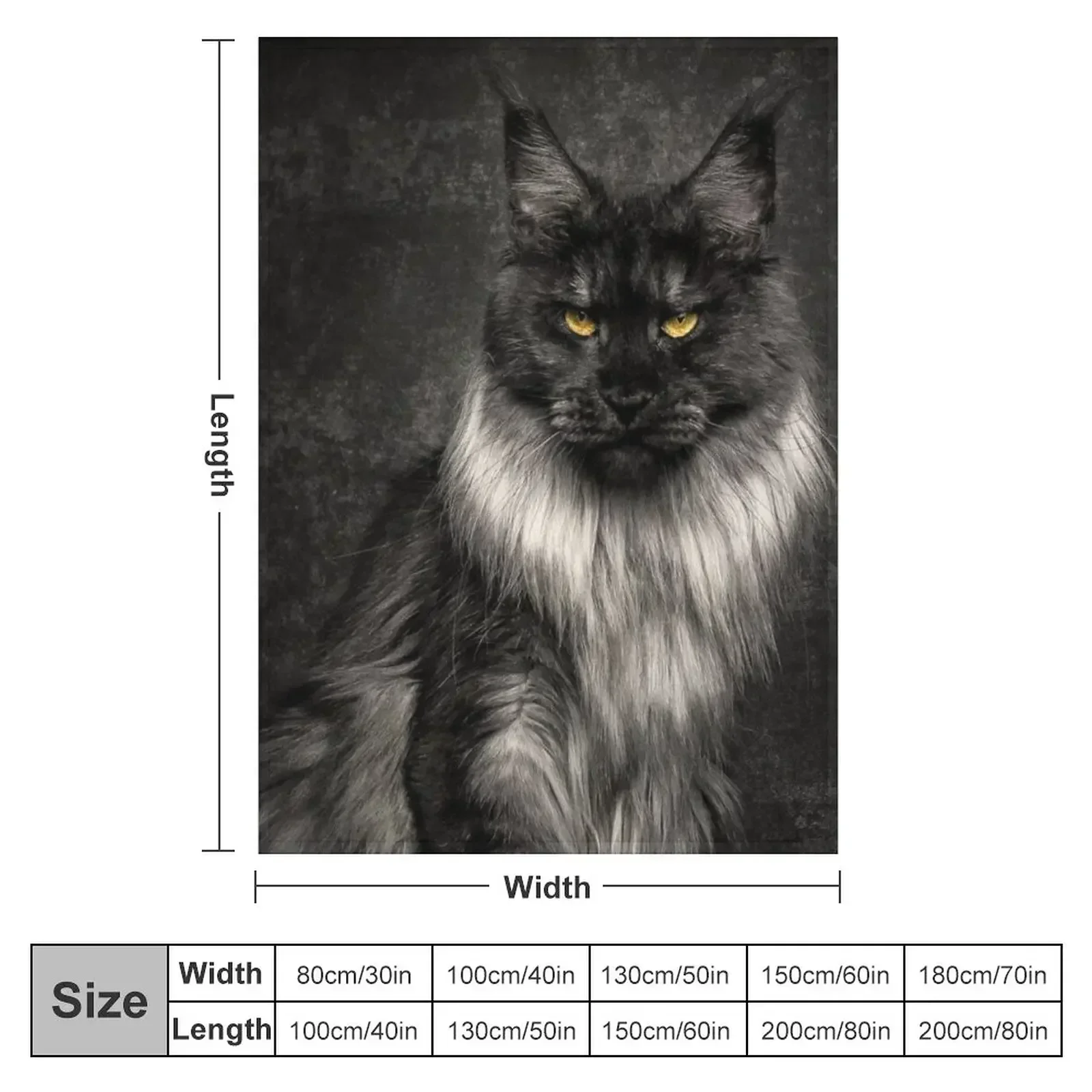 Silver Maine Coon Cat Portrait Throw Blanket manga blankets ands Blankets