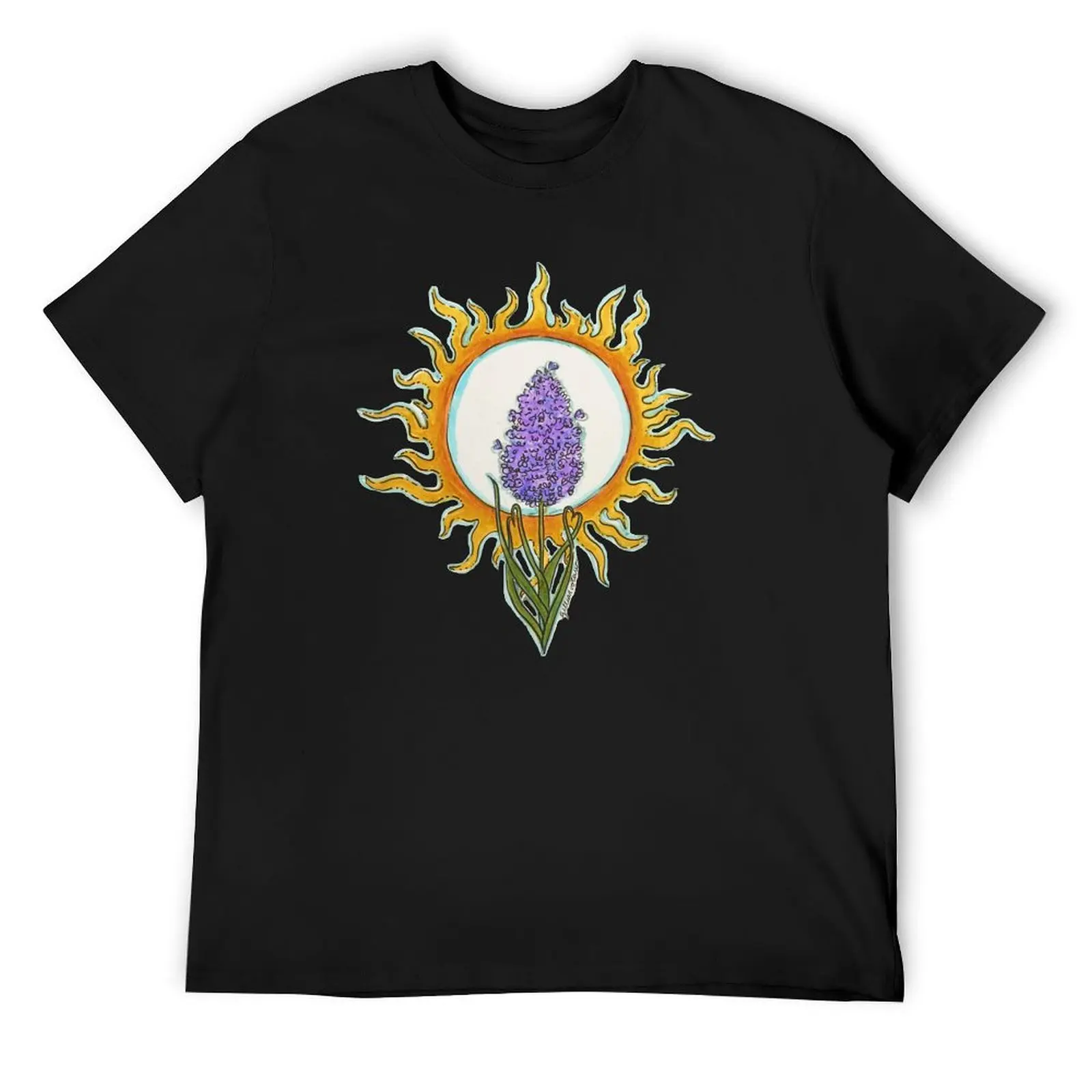 

Hyacinthus and Apollo T-Shirt shirts graphic quick drying mens plain t shirts