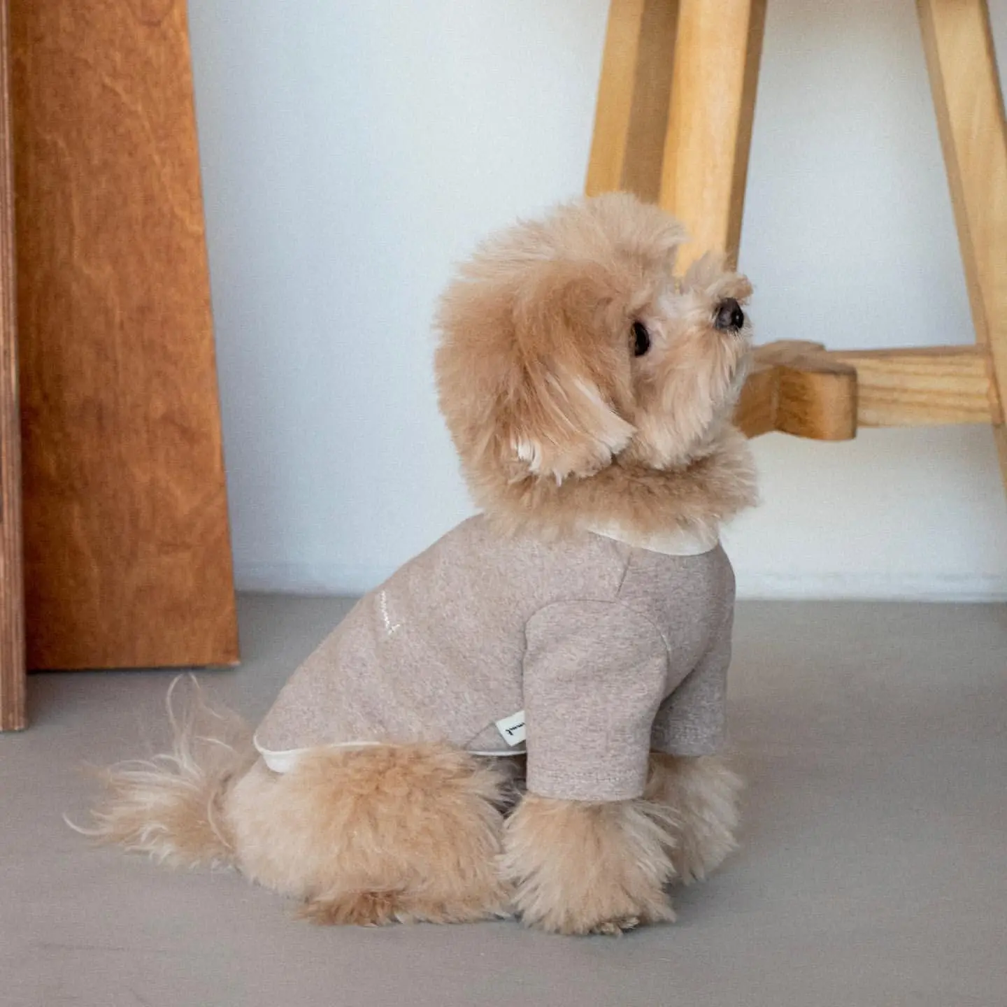 Herbst/Winter Thermo-Unterwäsche/Sweatshirt für Hunde und Katzen, vielseitige bestickte Kleidung für kleine Rassen, Haustierkleidung, Teddy, Bichon – Detail 4