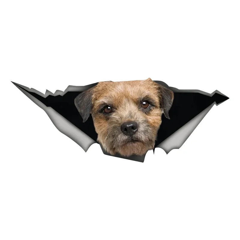 

30cm Border Terrier Dog Pet Car Sticker Waterproof Decals Auto Decors On Bumper Window Laptop Exterior Accessories Decal