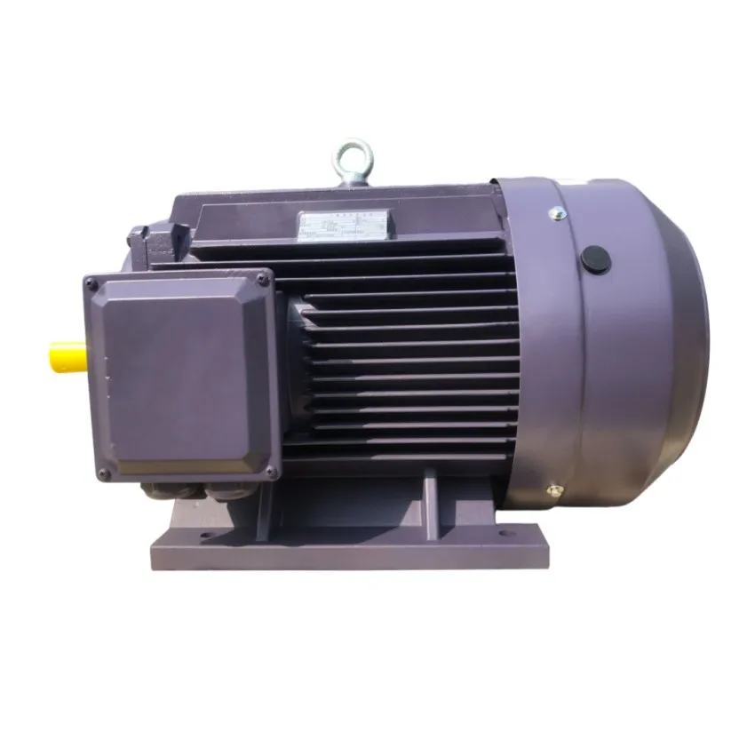 115kw (20 Hp)380V/415V  50Hz Three Phase Electric  AC Motor With IP55 & Iron Cast