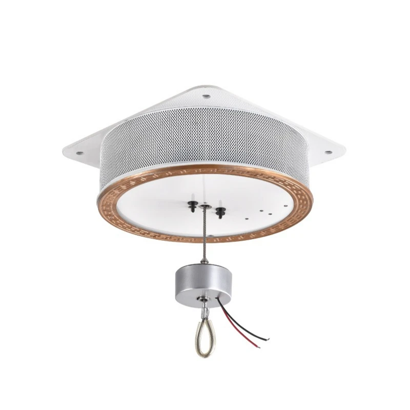 Villa lamp lifter, villa lamp intelligent electric lifting equipment, load-bearing 20-230kg