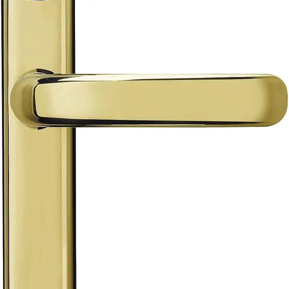 

Умная дверная ручка Conexis L1 — домашняя безопасность, удаленный доступ, управление через приложение и карту, полированная латунь