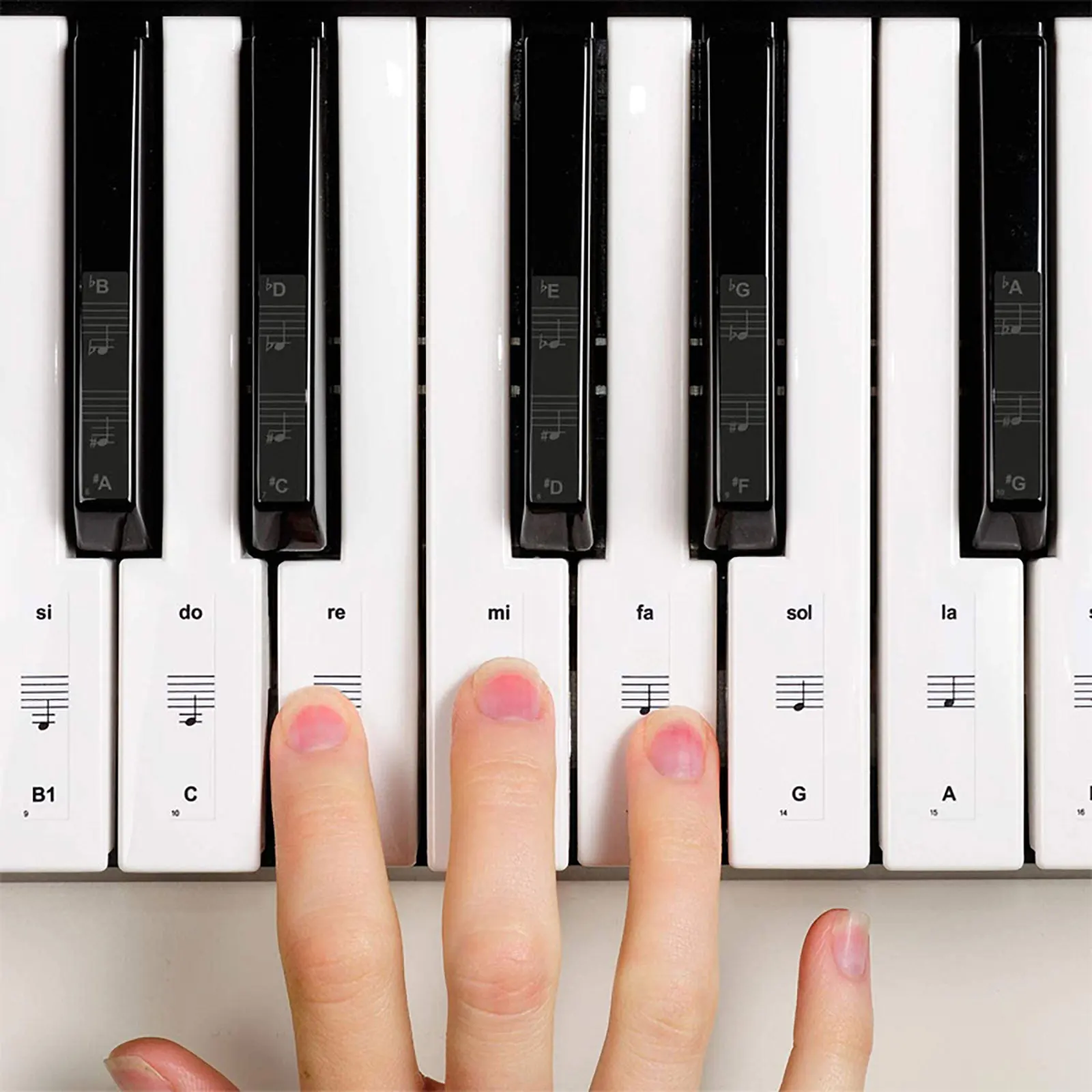 

Piano Keyboard Stickers for Beginners 2 Sets Note Labels Decals Waterproof Wear Resistant Easy to Stick Remove Piano Accessories