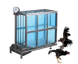 Factory Price animal sports electric Veterinary treadmill dog/cat/Fight Cock Sports Training Treadmill