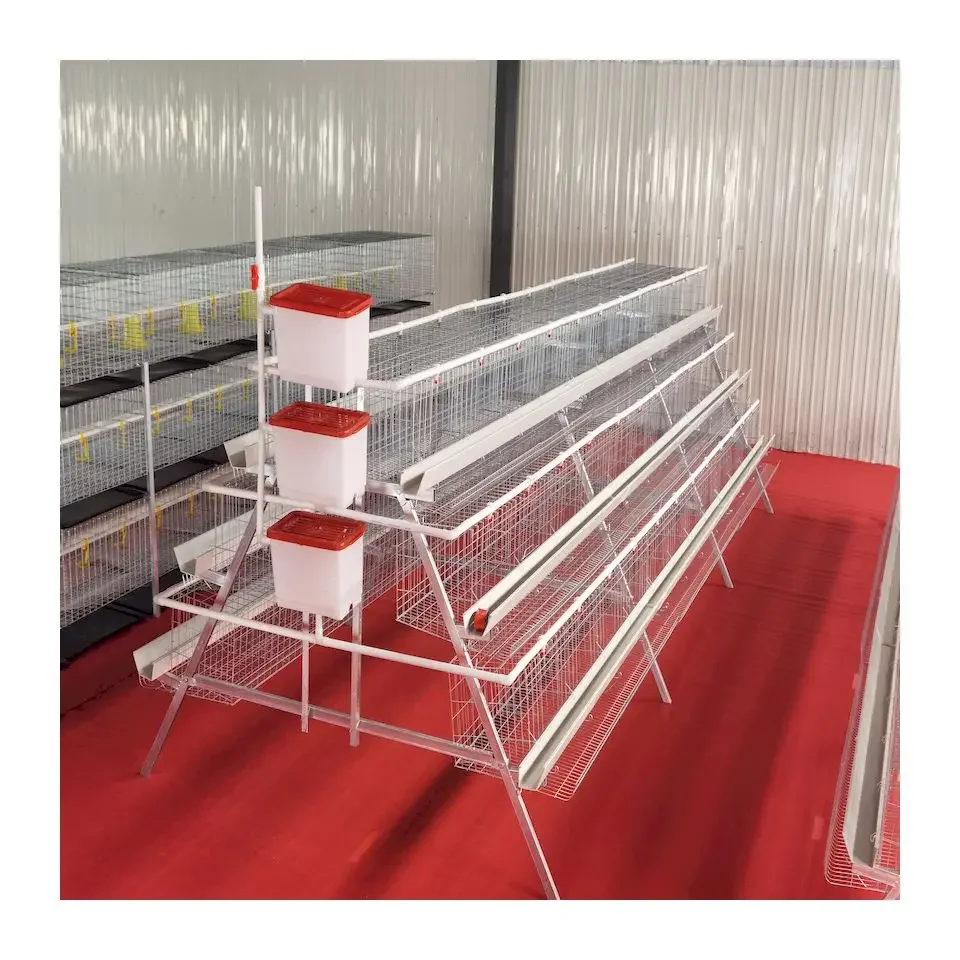 2021 Hot sale Animal Cages Electric Chicken Poultry egg Cage for Laying Hens