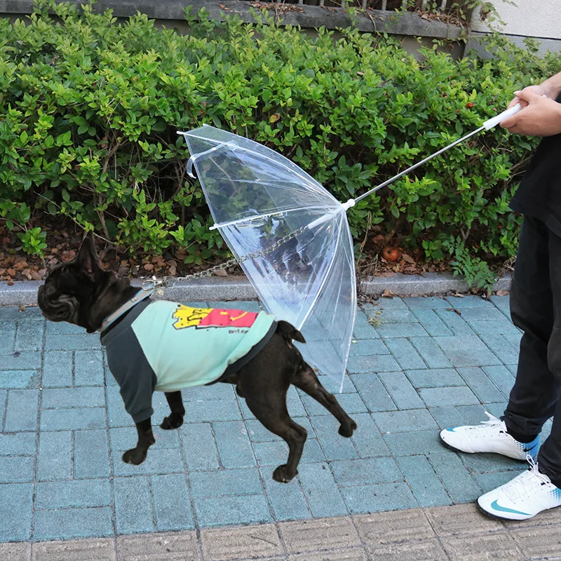 Transparent Small Dog Rain Gear with Leads, Keeps Pet Dry, Comfortable in Snowing Useful