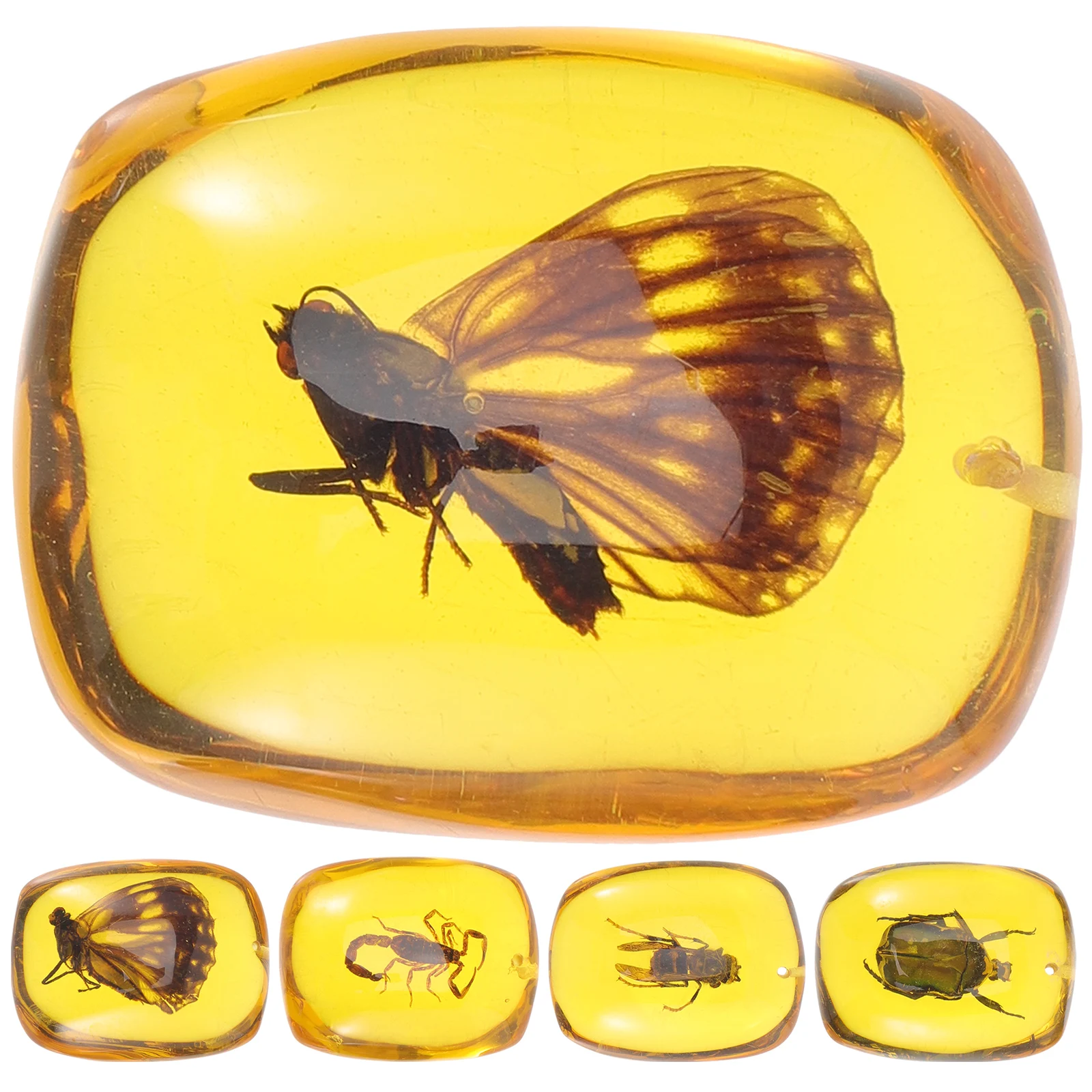 

Insect Specimen Resin Pendant Lightweight Jewelry Accessory Creative Hanging Decoration DIY Amber Charm Necklace Craft Ornament