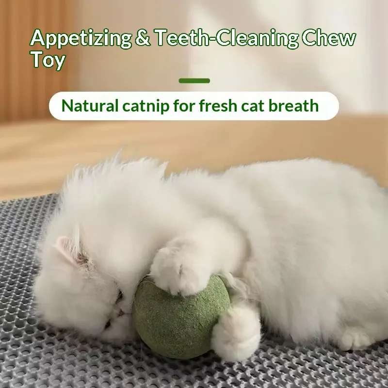 Catnip Ball Extra Large Cat Toy 10cm Giant Ball Self-Entertainment Stress-Relief Tool for Kitten Play Pet Supplies