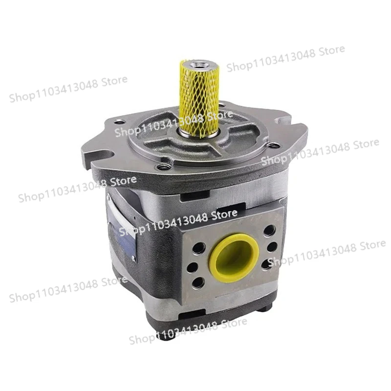 

IPVP6 Series High Pressure Variable Hydraulic Pump IPVP6-64-101 IPVP6-80-101 IPVP6-125-101 Internal Meshing Industrial Gear Pump