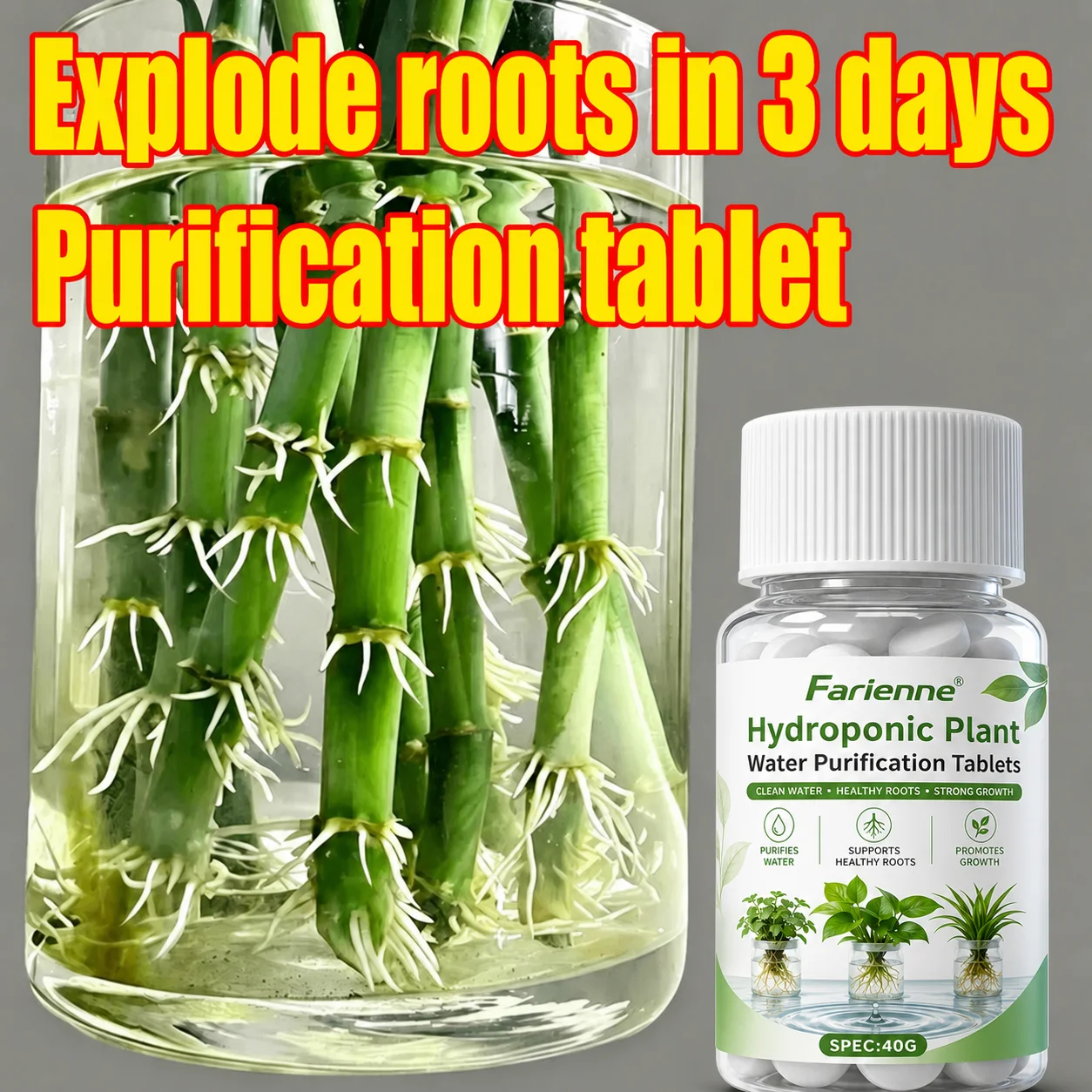 40G Hydroponic Water Root Purifying Tablets Plant Root Rot Inhibitor Root Stimulator for Lucky Bamboo Orchid Indoor Plants