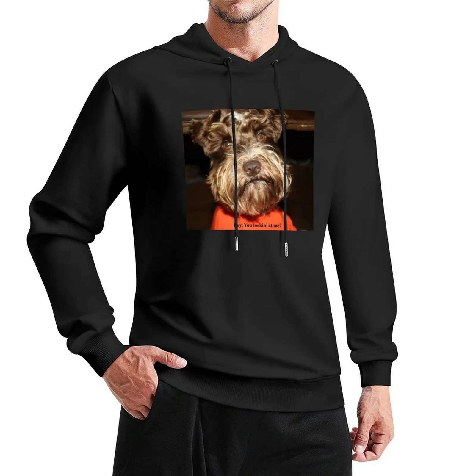 

miniature schnauzer Pullover Hoodie men's coat anime clothes hoodie graphic