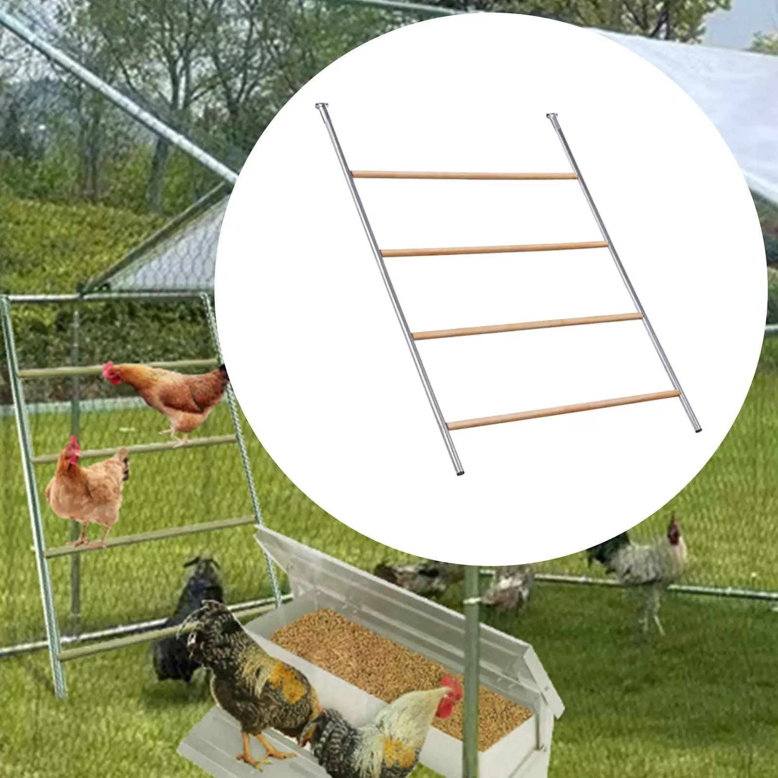 Chicken Roosting Perch Farm Roost Toy Training Perch Chicken Perch Roosting Bar Chicken Toy for Hen Farm Brooder Birds Backyard