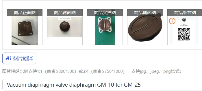 Vacuum Diaphragm Va…