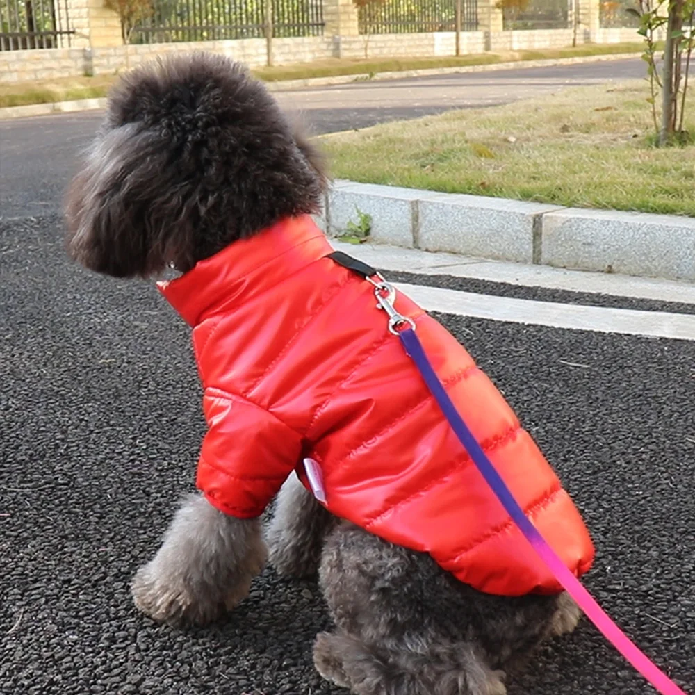 Winter Small Dog Clothes Coat Thick Cotton Waterproof Puppy Pet Jacket Costume Outfits Clothes for Small Dogs Cat Pug Shih Tzu