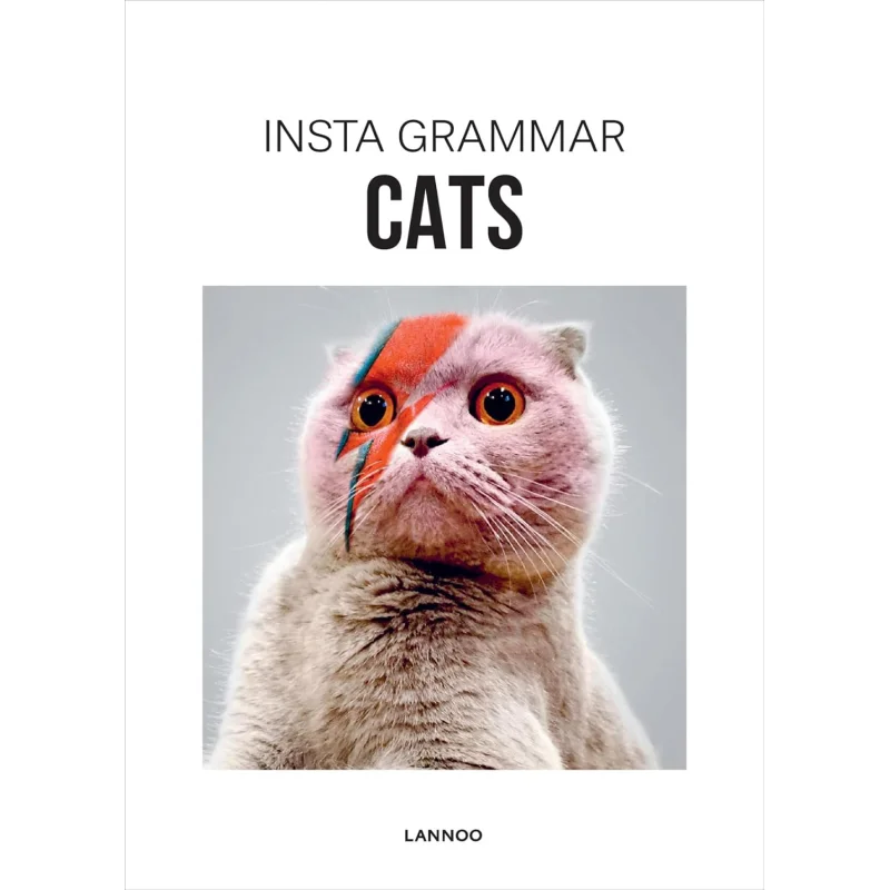 

Книги по искусству Insta Grammar Cats Irene Schampaert Acc 9789401436953