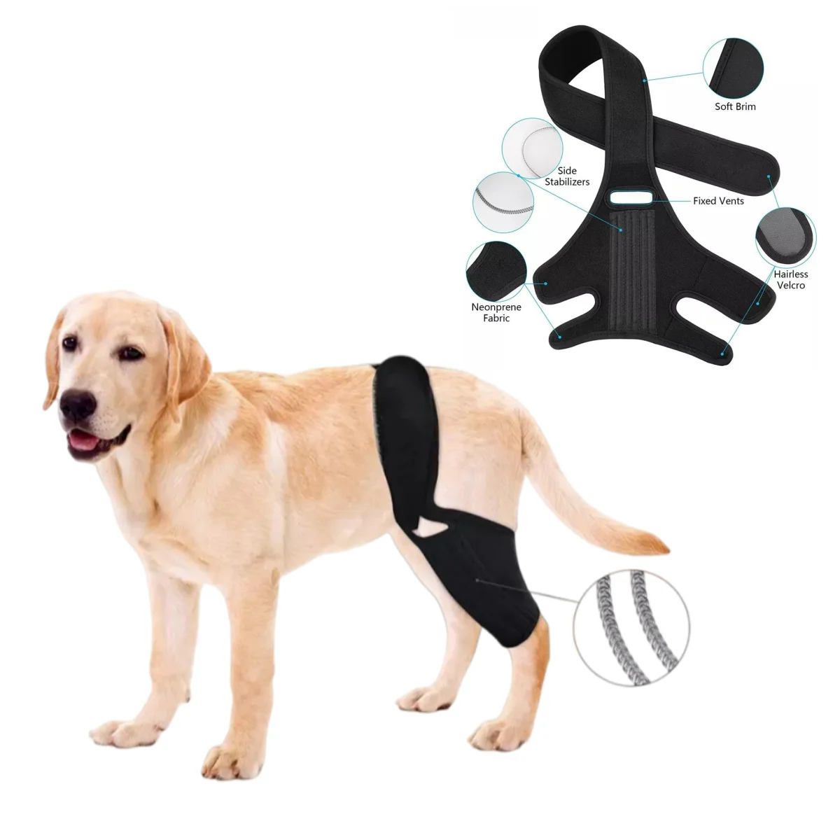 Suporte Ajustável para Pernas e Quadris de Cães com Estrutura de Aço e Envoltório de Borracha de Cloropreno para Recuperação de Lesões no LCA, Artrite e Displasia do Quadriangular