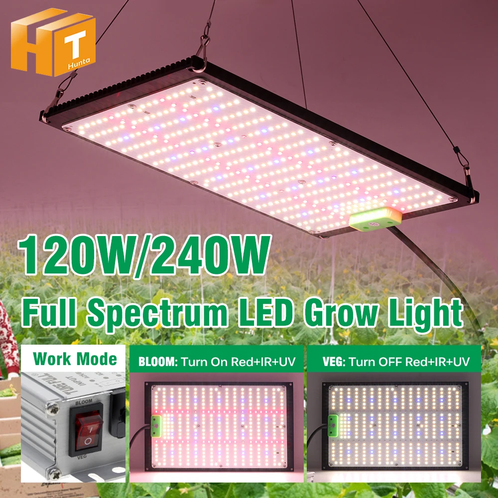 Full Spectrum LED Grow Light 120W 240W AC100-277V LM301H High Brightness Growth Lamp For Greenhouse Indoor Plants Seeding