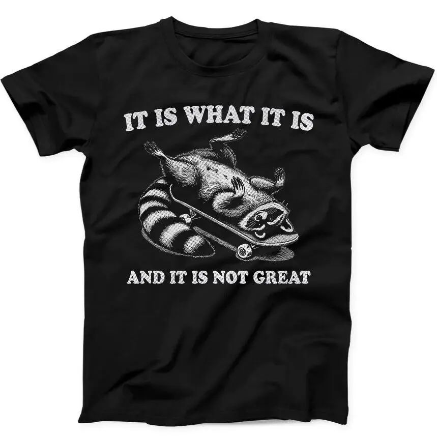 

It Is What And It's Not Great Raccoon Funny Black T Shirt 242