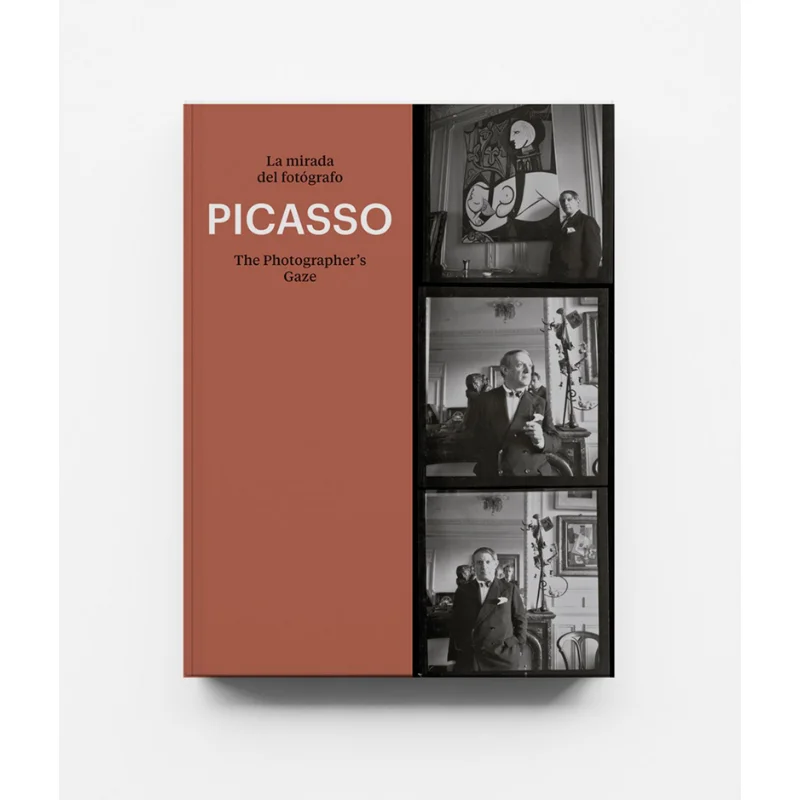 

Picasso The Photographers Gaze Emmanuel Guigon Prestel Publishing 9788417769154 Book