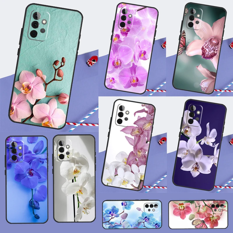 Orchid Flowers Colo…