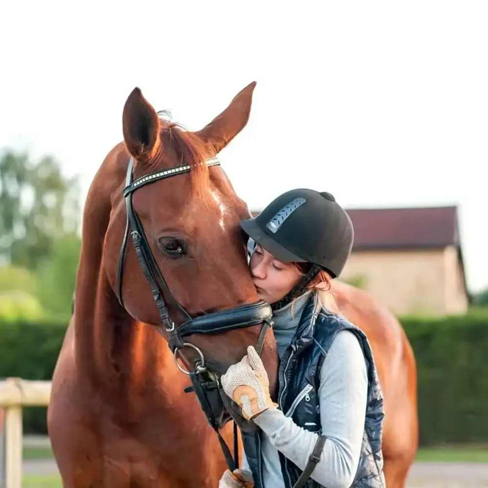 1개 신제품 두꺼운 말털 솔 알루미늄 합금 갈기털 빗 브리슬 라이딩 브러시 승마 용품