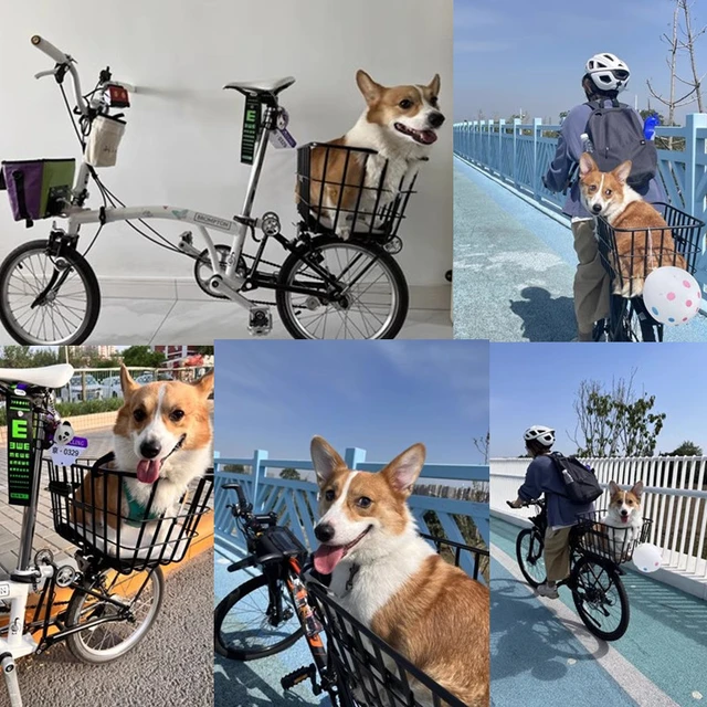 Corgi bike basket hotsell