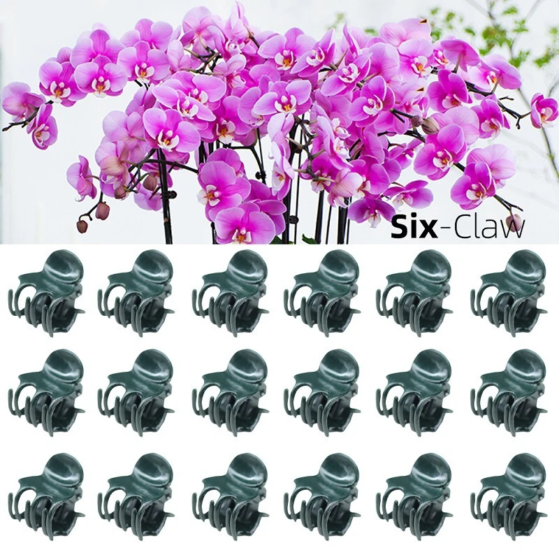 50pcs Plastic Garden Plant Clip For Phalaenopsis Graft Orchid Stem Dark Green Vine Support Clips Gardening Accessories
