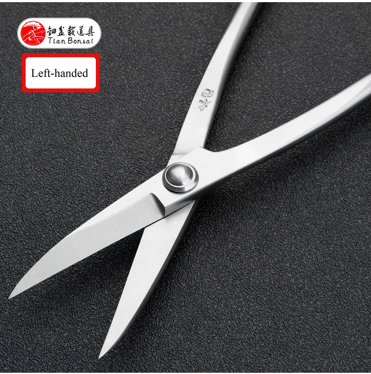 Material-Upgrade: Professionelle 210 mm lange Schere aus 5Cr15MoV-Legierungsstahl, Bonsai-Werkzeuge von TianBonsai – Detail 14