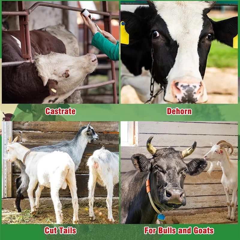 

AT43-50 Pieces Of Bull Three-Ring With Casters Livestock Castingtools Suitable For Pasture Field Use Animal Management