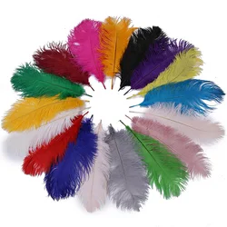 20Pcs Colored Ostrich Feathers for Crafts Wedding Decoration Handicraft Accessories Table Centerpieces Carnival Plumas Decor