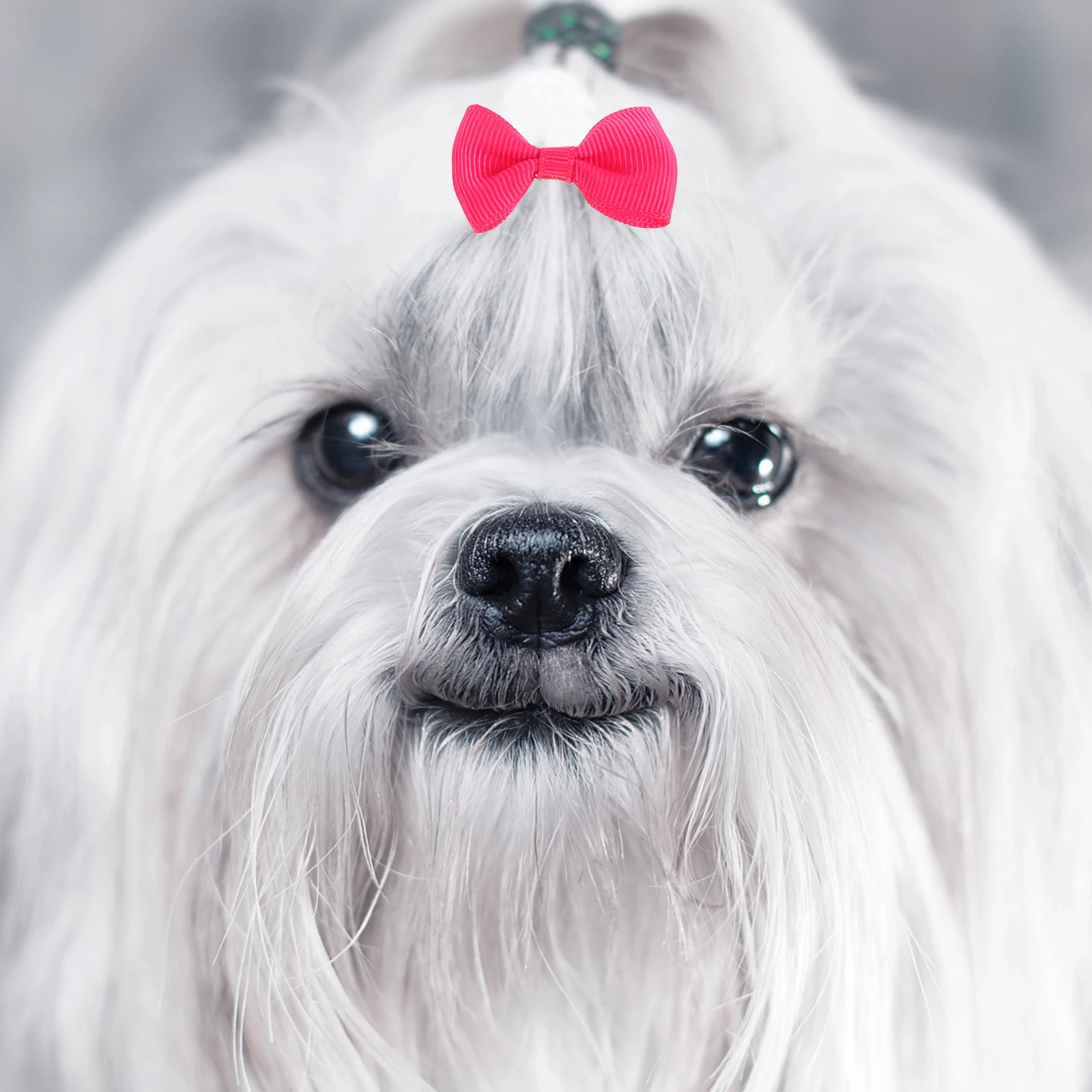 

16Pcs Pet Hair Bows Cute Fashion Bowknot Accessory Soft Material for Dogs Cats Easy to Use Ideal for Daily Outings