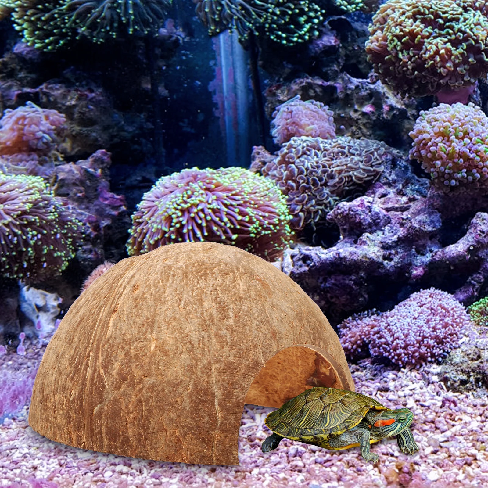 

Coconuts Shell Hideout Natural Reptile Cave Turtle Shelter Small Animal Hideout Terrarium Accessories Reptile Decor
