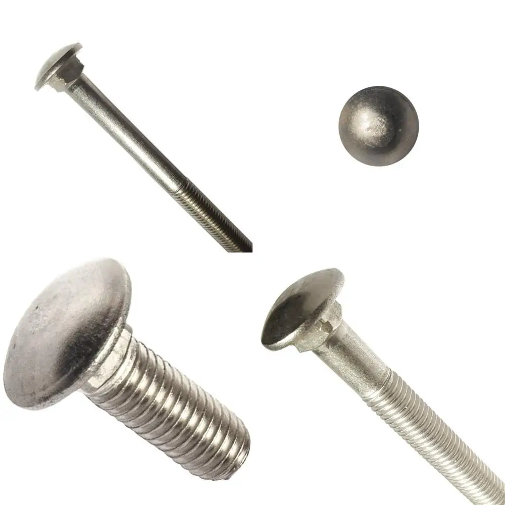 

Stainless Steel 18-8 Partial Thread 5/8-11 x 14 Carriage Bolts with Round Head, Square Neck, Flat Point for Secure Fastening