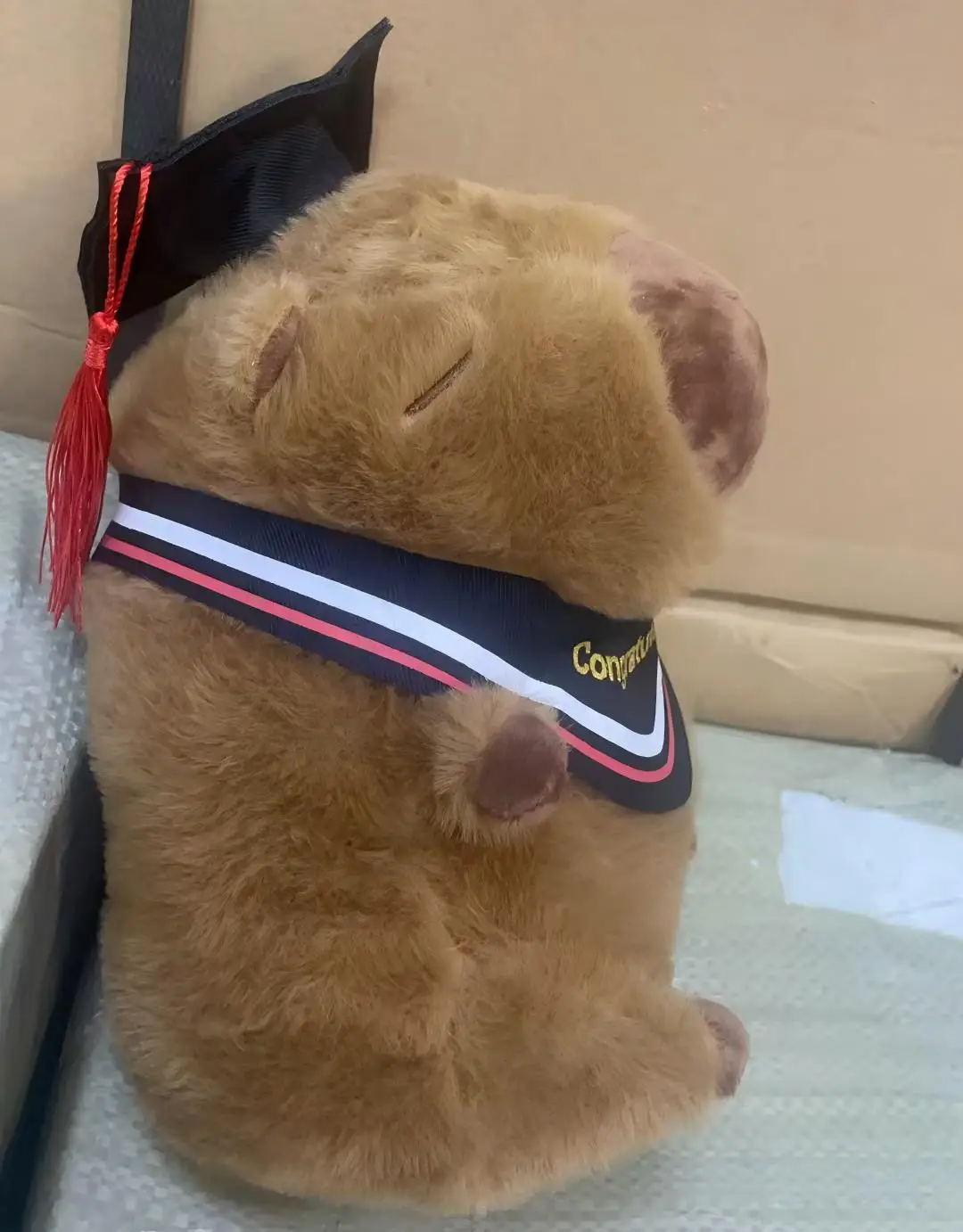 23 cm Abschluss-Capybara-Plüschpuppe, Stofftier, Doktormütze, Abschluss-Plüschtier, Abschlussgeschenk für Studenten