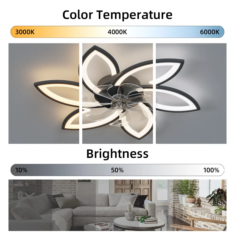 Ceiling Fan with Lights, 31Inches Remote Control Dimmable LED, 6 Gear Wind Speed Fan Light, Ceiling Fan