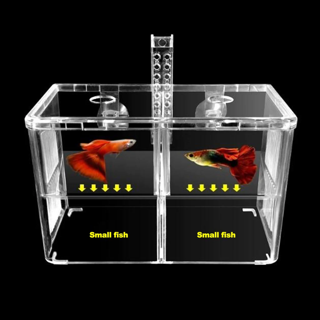 Fishes Tank  on Breeder Aquarium Hatchery Fishes Breeding Hatching Isolation Box