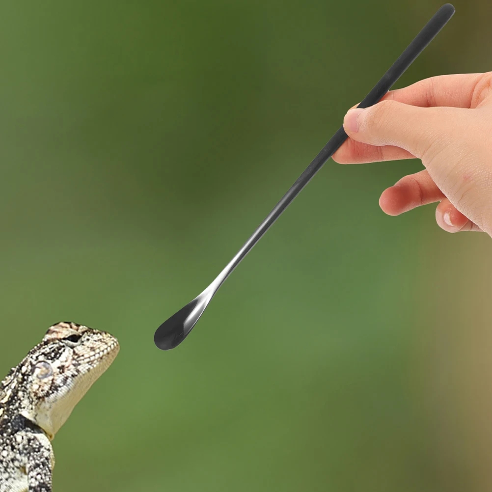 

3Pcs Small Pet Feeding Spoon Heavy Duty Reptile Food Tool for Lizard Portable Scoop with Ergonomic Handle Dishwasher Safe Design