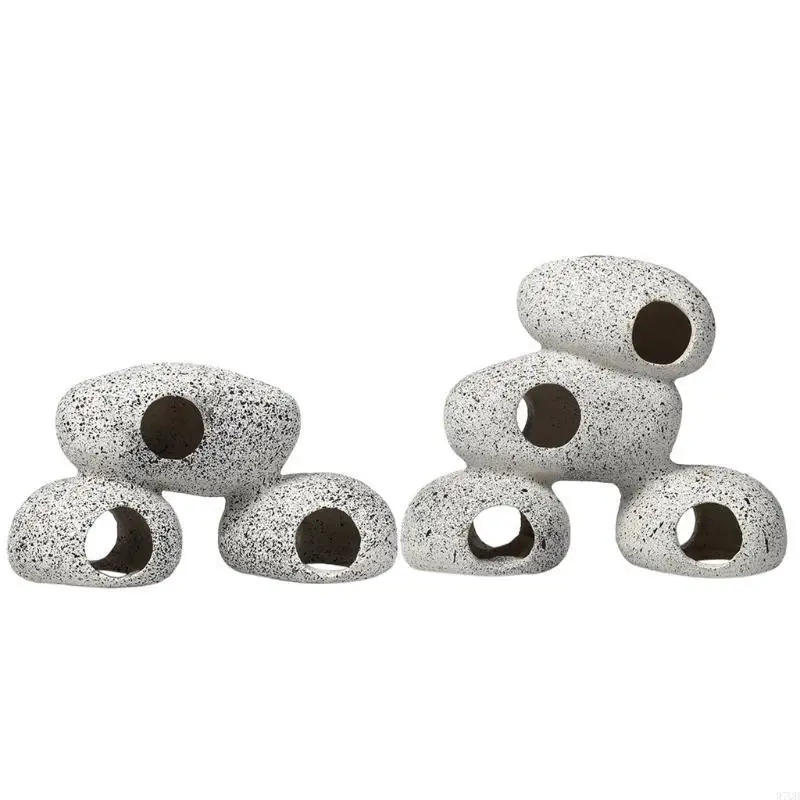 97QD CICHLID BERLEDING Stone Stone Stone Stones Habitat Profession