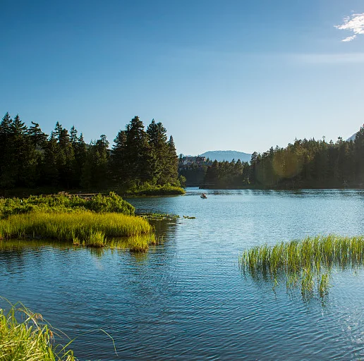 

Flywoo Explorer LR 4-дюймовый сверхкомпактный комплект рамок, совместимый с DJI O3 O4 Walksnail HD System Long Range FPV