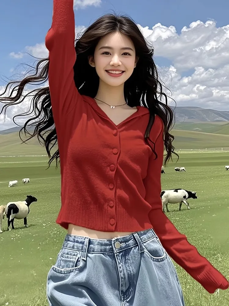 

Женский вязаный свитер с V-образным вырезом, модный красный свитер для ранней осени и зимы, новинка 2024 года, удобный крой