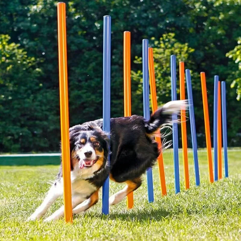 Pet dog park equipment Dog agility training equipment Crawling tunnel hurdle jumping dog