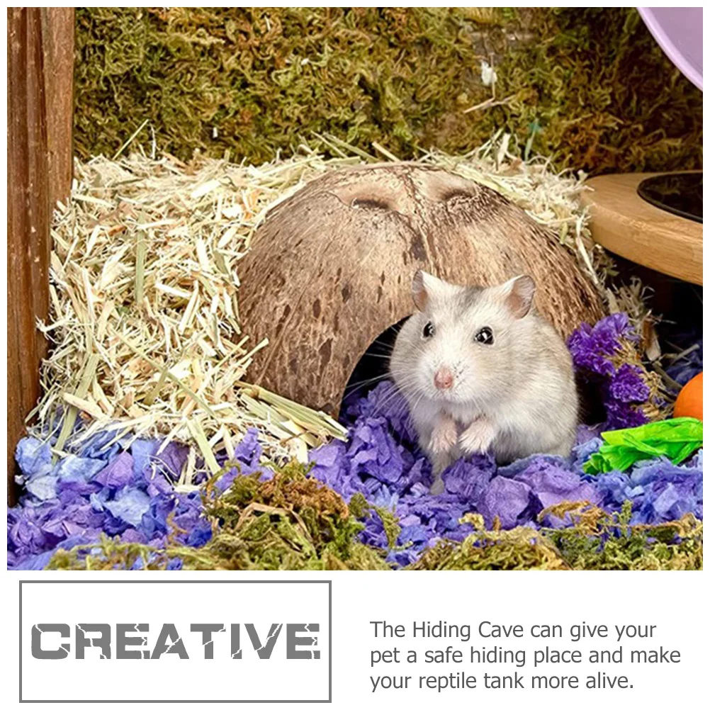 

2Pcs Reptile Hide Multi-Functional Wear-Resistant Shelters Natural Coconut Shell Cave Decorative Terrarium Decor for Hermit Crab